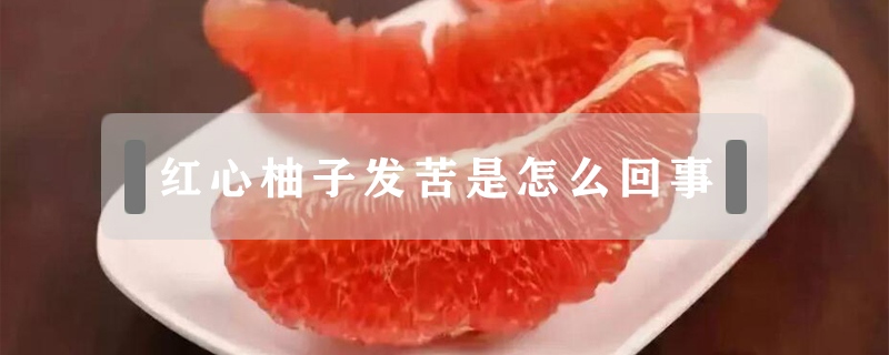 紅心柚子發苦是怎么回事