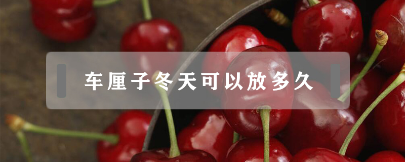 車厘子冬天可以放多久