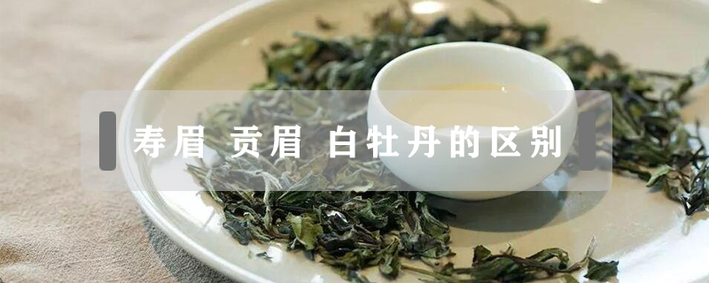 壽眉 貢眉 白牡丹的區別
