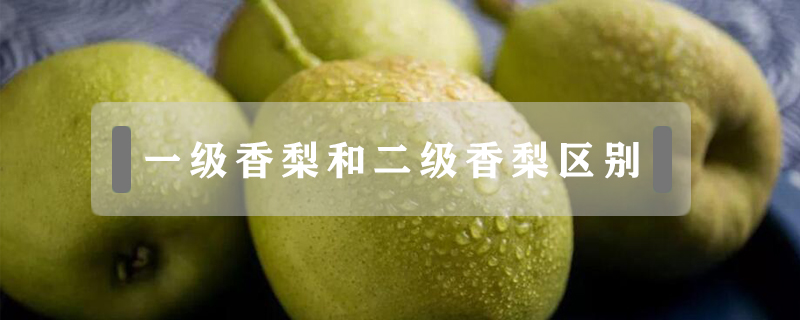 一級(jí)香梨和二級(jí)香梨區(qū)別