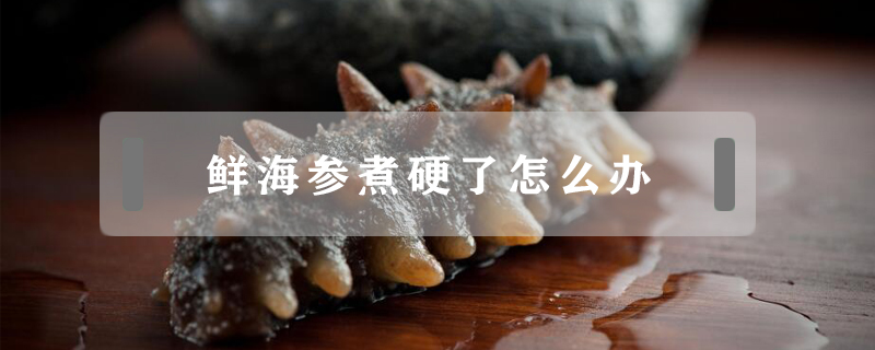 鮮海參煮硬了怎么辦
