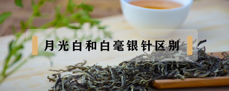 月光白和白毫銀針區(qū)別