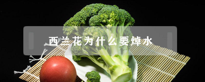 西蘭花為什么要焯水