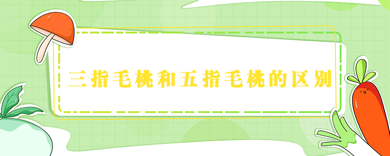 三指毛桃和五指毛桃的區別