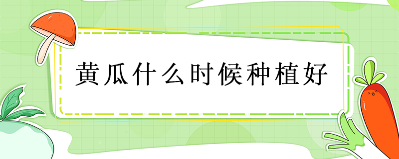 黃瓜什么時候種植好