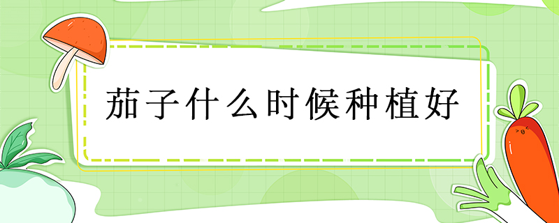 茄子什么時候種植好