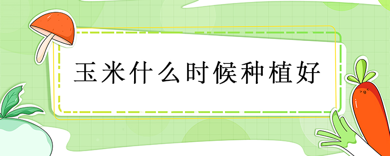 玉米什么時候種植好