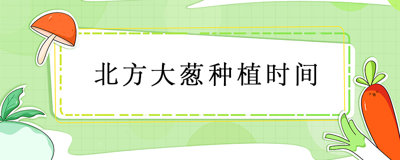 北方大蔥種植時間