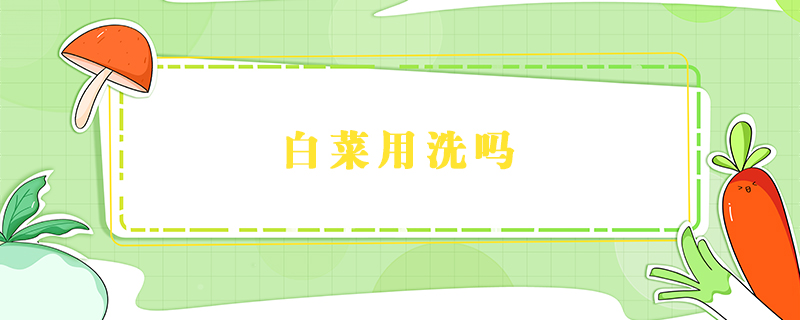 白菜用洗嗎
