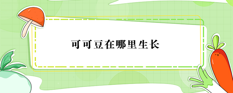 可可豆在哪里生長