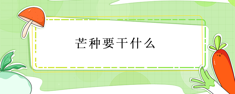 芒種要干什么