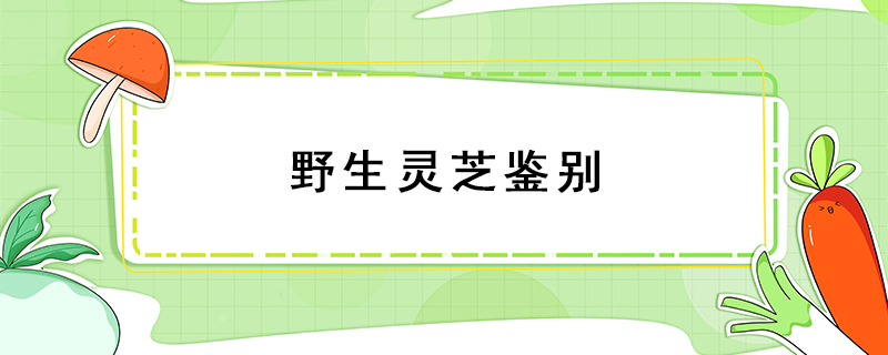 野生靈芝鑒別