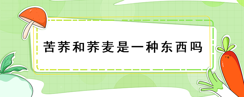 苦蕎和蕎麥是一種東西嗎