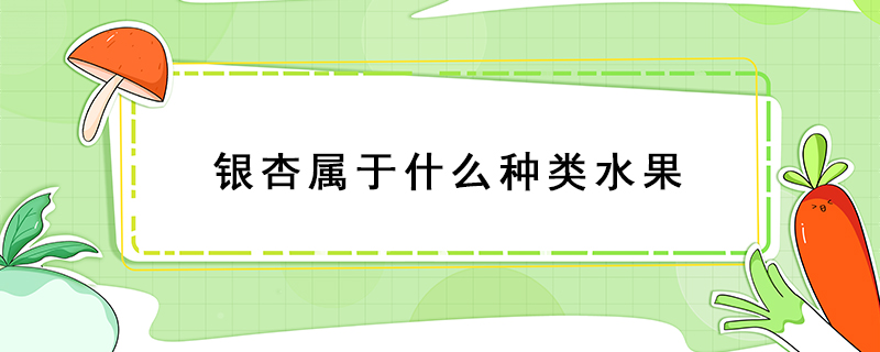 銀杏屬于什么種類水果