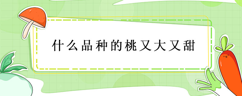 什么品種的桃又大又甜