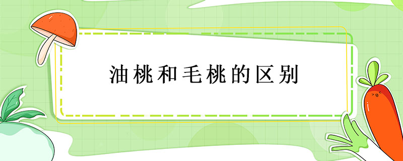 油桃和毛桃的區(qū)別