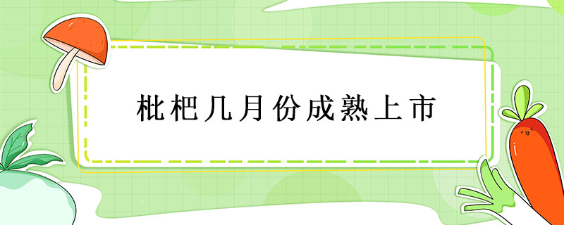 枇杷幾月份成熟上市