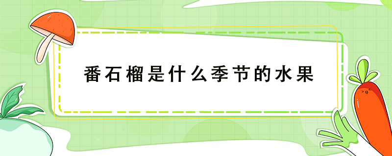 番石榴是什么季節的水果