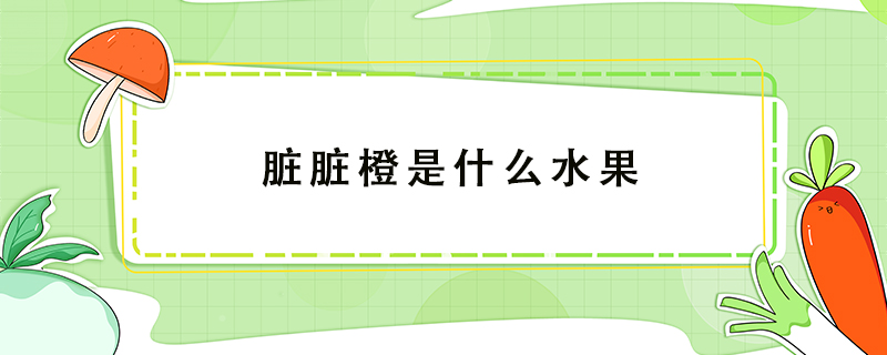 臟臟橙是什么水果