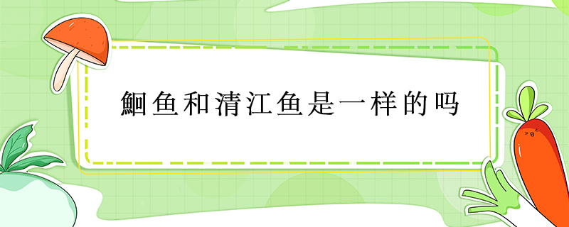 鮰魚和清江魚是一樣的嗎