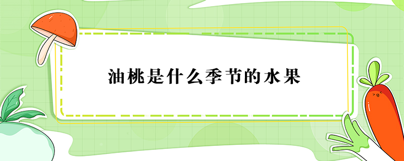 油桃是什么季節(jié)的水果