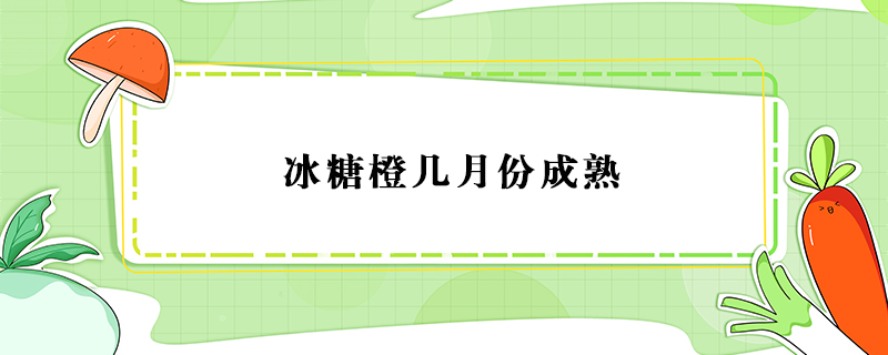 冰糖橙幾月份成熟