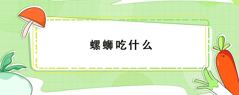螺螄吃什么