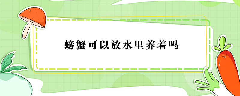螃蟹可以放水里養(yǎng)著嗎