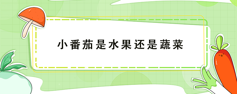 小番茄是水果還是蔬菜