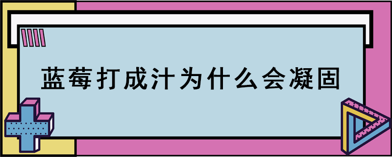 藍莓打成汁為什么會凝固