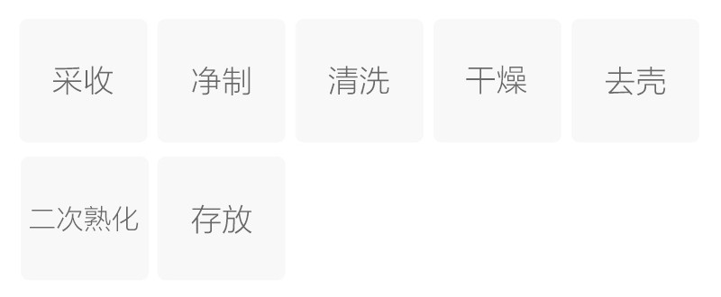 苦蕎茶