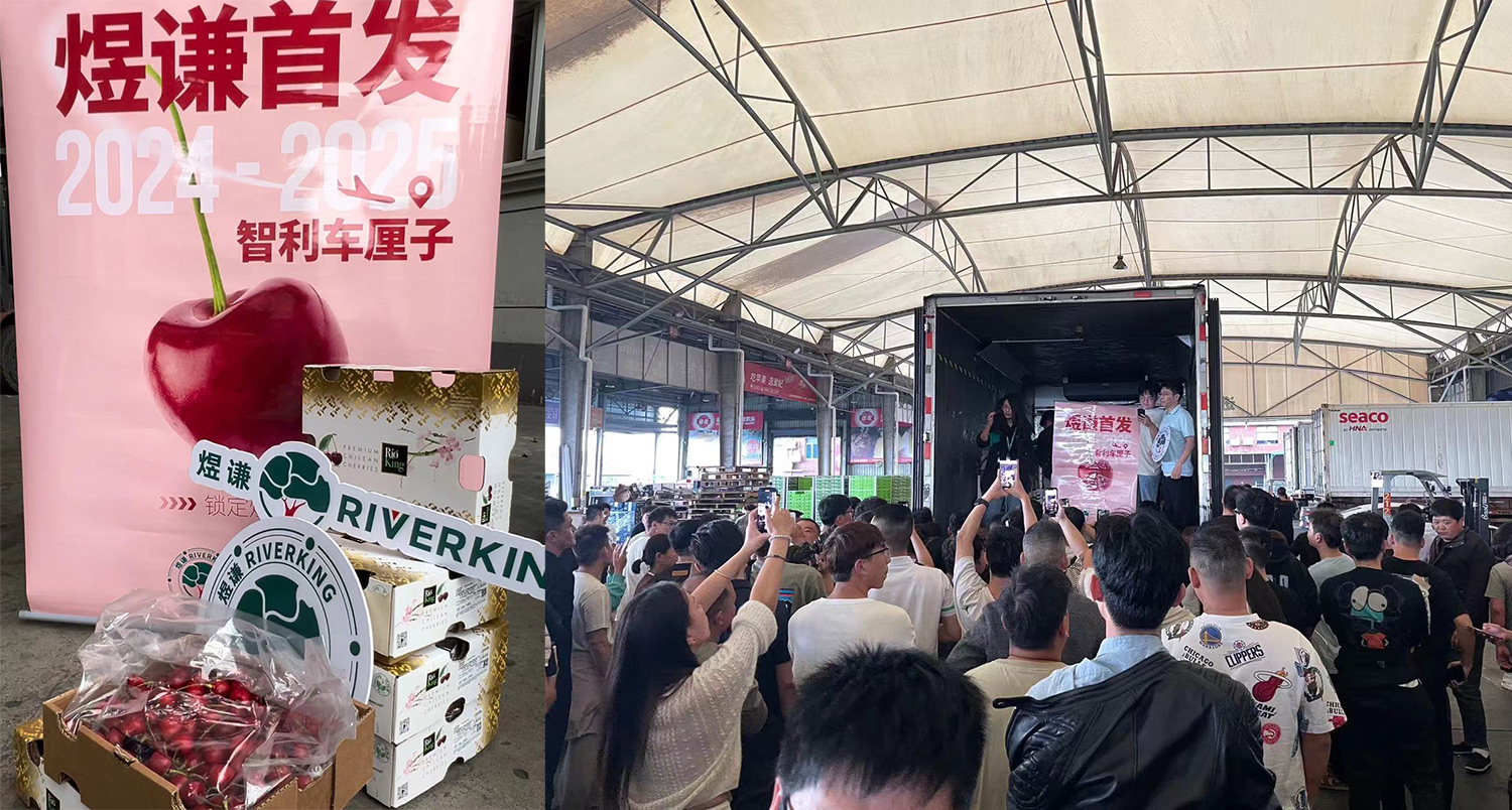 煜謙：全國首發新季智利櫻桃 首柜抵達上海再燃消費熱情