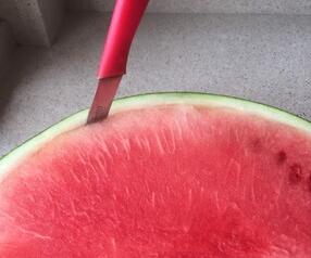 西瓜盆栽水果拼盤做法步驟圖  讓你的食欲幸福得像花兒