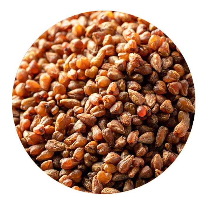 苦蕎茶